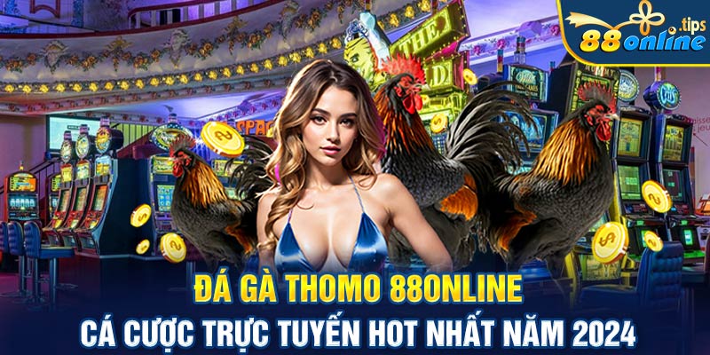 Đá gà Thomo 88online - Cá cược trực tuyến hot nhất 2024